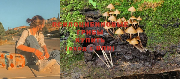 крисы Алексеевка