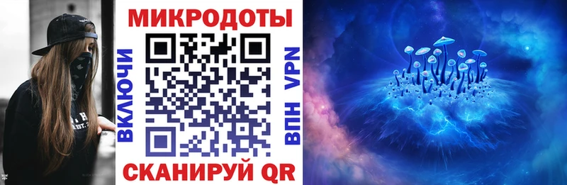 Псилоцибиновые грибы Psilocybine cubensis  Елабуга 