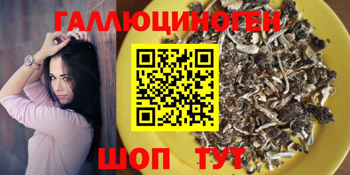 Псилоцибиновые грибы Psilocybine cubensis  Вход с VPN  Елабуга 